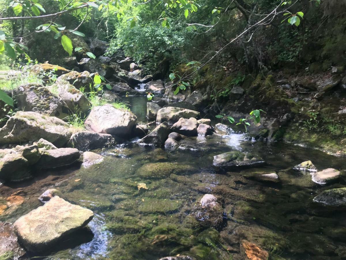 Casa D'Agua Leilighet Venda Nova  Eksteriør bilde